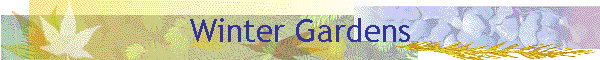 Winter Gardens