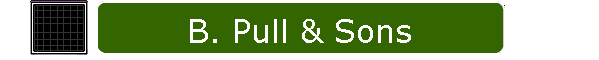 B. Pull & Sons