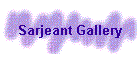 Sarjeant Gallery