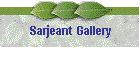 Sarjeant Gallery